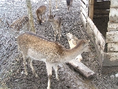 A Guzsalyas Műhely Nagykarácsonyban járt a hétvégén