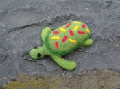 Teknős - alkotódoboz